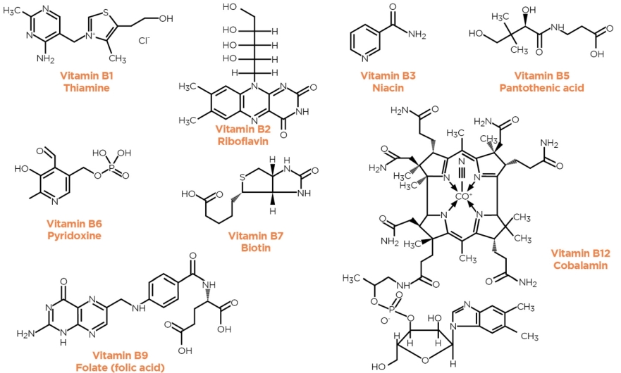 Struktura vitamínů skupiny B